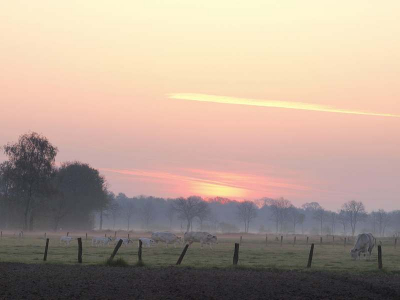 Op weg naar een ochtendwandeling gefacineerd worden door het vroege licht boven de nog mistige weiden.