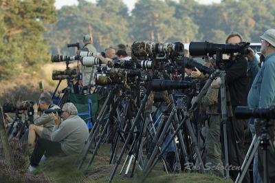 Drukte op de Hoge Veluwe tijdens de Hertenbronst, staat voor een kapitaal aan Telelenzen en bijbehorende attributen.