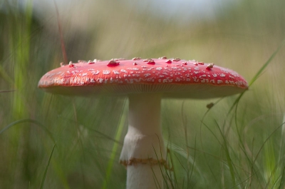 Vanaf rijstzak op de grond
Zacht weer, beetje zon beetje regen