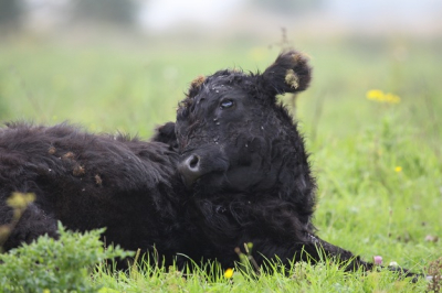 Net begonnen met foto's maken. Tips kan ik dus goed gebruiken!