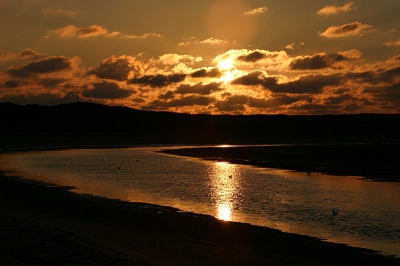 <i class='fa fa-user'></i> Art | Zonsondergang in de Slufter  <i class='fa fa-eye'> 312</i>   <i class='fa fa-comment-o'> 5</i>
