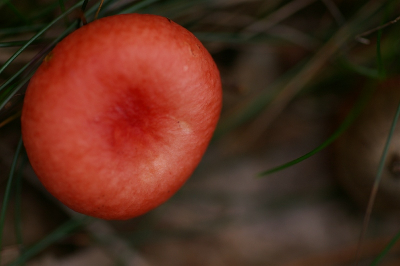 Standpunt recht van boven weer eens wat anders.  Foto is midden op de dag gemaakt.