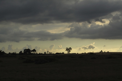 na een lange dag Hoge Veluwe, veel herten en nog veel meer fotografen, reed ik op de weg terug langs dit tafereel. Gelukkig was m'n batterij nog niet leeg.