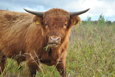 Herfstachtige dag, redelijk lichte lucht, maar weinig zon. 
Opdracht: Vanuit verschillende standpunten..