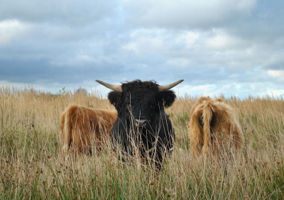 Redelijk lichte lucht, af en toe de zon die doorbreekt, gelukkig geen regen!
Opdracht: vanuit verschillende standpunten fotograferen.