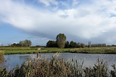 Waverhoek is een redelijk nieuw natuurgebiedje dat aan de Botshol grenst. Het mooie ervan is dat je over 360 graden een mooi uitzicht hebt zonder belemmeringen. 
Met verticale bewolking kom ik hier graag om het allemaal goed te kunnen zien.