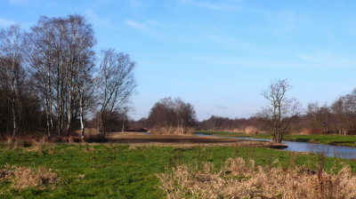 Het Hol is een klein mooi natuurgebied dat in beheer is bij Natuurmonumenten. Het is niet toegankelijk. Omdat ik vrijwilliger ben mag ik er toch in (om te werken).