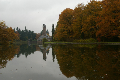 Het was gisteren een grauwe dag, maar de bossen hadden en hebben een prachtig goudkleur over zich.