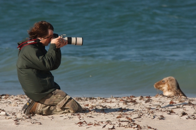 Je ziet Daan denken; waar zitten al die zeehonden nou toch?