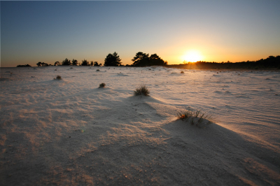 's Avonds genomen op een zonnige dag vlak voor zonsondergang. Ik heb een laag standpunt gekozen.