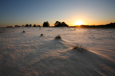 's Avonds genomen op een zonnige dag vlak voor zonsondergang. Ik heb een laag standpunt gekozen.