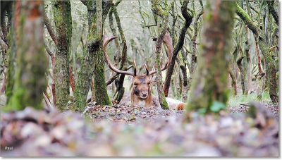 Zwaar bewolkt in de ochtend. Foto is genomen liggend op de grond