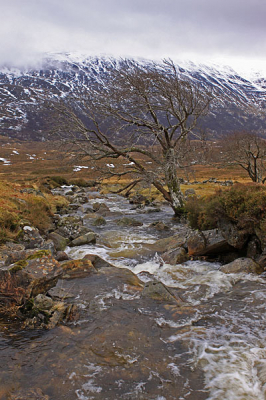 Tijdens een koude wandeling rondom Loch Affric in Schotland moesten we deze beek oversteken. Helaas geen statief mee zodat een langere sluitertijd niet mogelijk was. Technisch kan de foto veel beter. Het blijft echter een mooi plaatje