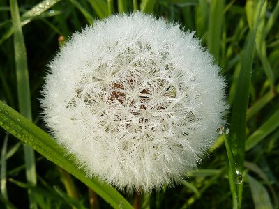 's Morgens om 7.00 uur genomen tijdens een vochtige ochtend.