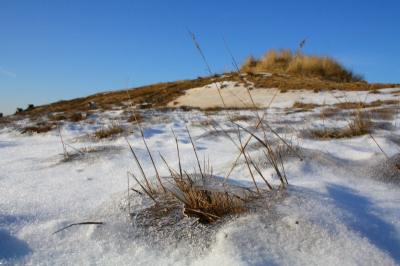 De zon en de temperaturen verdrijven de sneeuw en ijs. De grassprieten laten zich weer zien....
