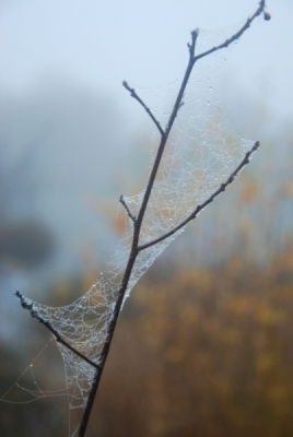 Mistige omgeving met weinig licht. Gefotografeerd uit de hand met Nikon D60 en 18-105 zoomlens