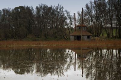 Vogelkijkhut aan het meertje, De herfstkleuren, lichtinval en de weerkaatsing in het water sprak me erg aan.