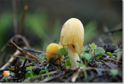 Liggend, slecht weer, regen desondanks toch heel leerzaam.