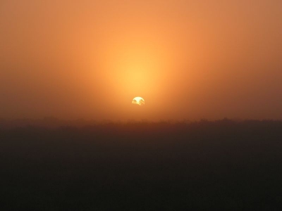 <i class='fa fa-user'></i> Rutger | zonsopgang  <i class='fa fa-eye'> 309</i>   <i class='fa fa-comment-o'> 1</i>
