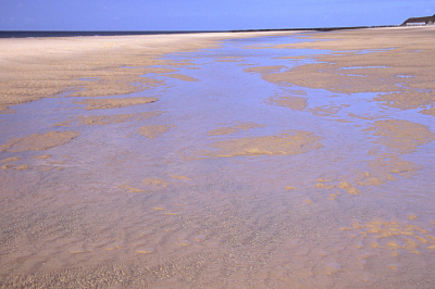 <i class='fa fa-user'></i> Roel Meijer | Luchtspiegelingen op het strand  <i class='fa fa-eye'> 202</i>   <i class='fa fa-comment-o'> 2</i>