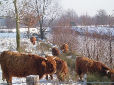 Was met kleindochter met de slee aan het wandelen en ze riep oma kijk