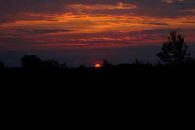 'S morgens vroeg even gaan kijken of er nog wild rondliep op de stroese hei. De zon trok mijn aandacht...