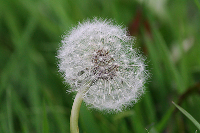 's Avonds was het een mooi helder zonnetje. Nog even gebrobeerd om hazen te spotten, maar deze foto was naar mijn idee ook wel aardig...