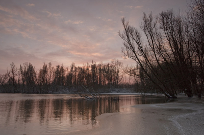 De zonsopkomst in de biesbosch na een koude nacht met strenge vorst.