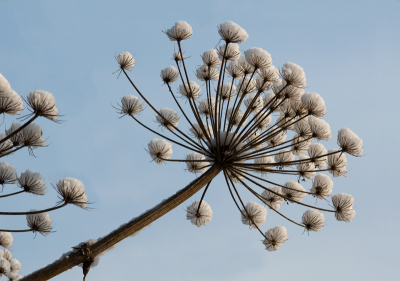 De foto is gemaakt met een licht blauwe lucht en soms brak de zon zachtjes door.