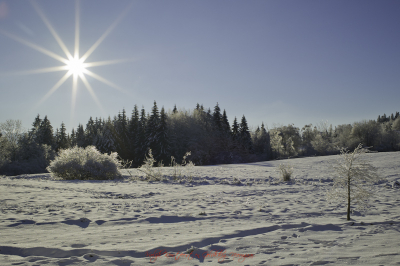 Wederom een wereld van ijs en sneeuw. Bijna recht tegen de zon in. Sorry voor een enkel zonnevlekje.