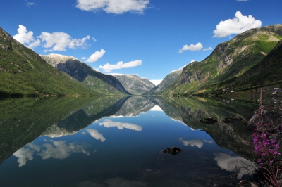 Een prachtige ochtend, onderweg naar een lange gletserwandeling bij het Nigardsbreen.
Bewust gekozen om de bloem rechts in beeld te houden, verder valt het snijpunt perfect in het midden.