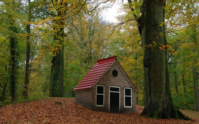 Trof dit huisje aan op het landgoed Beeckestijn in Velzen zuid.
Hoewel het eigelijk cultuur met natuur is vond ik m.n dat rode dak zo prachtig uitkomen in het herfst bos.