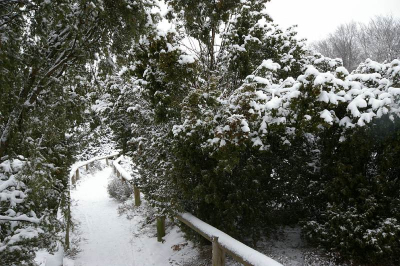 Vanmiddag met de meiden heerlijk naar buiten en fototoestel mee. Prachtig die jeneverbessen met sneeuw!