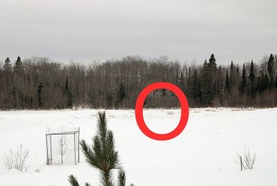 Op deze foto te zien waar de vos was toen ik de foto nam.
Genomen op 50mm.
De boom in de voorgrond staat ongeveer vier meter van het huis.
