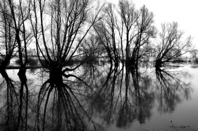 Hoogwater en windstil weer geven prachtige spiegelingen in het water.