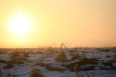 Gisterochtend op het juiste moment op de juiste plek. Opkomende zon in de mist over besneeuwde velden leverde mooie plaatjes op...