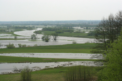 <i class='fa fa-user'></i> Jaap Schelvis | Samenstroming van de Biebrza en de Narew, NO-Polen  <i class='fa fa-eye'> 220</i>   <i class='fa fa-comment-o'> 4</i>