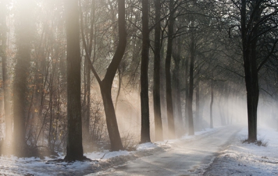 Het was wat mistig en er was sprake van tegenlicht.