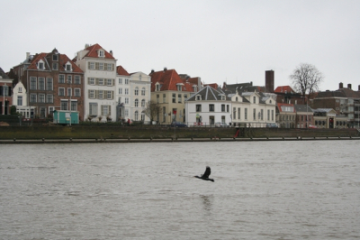Regenachtige, koude wintermiddag in december. Sterk bewolkt en weinig licht.