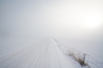 Dit nummer van 'City to City' schoot me te binnen toen ik deze foto nam. 

Tijdje getwijfeld of ik me op Nederpix zou aanmelden, naast Birdpix. Maar met een voorjaar in de aantocht waar ik ook wat meer op landschap/macro wil focussen toch maar besloten!