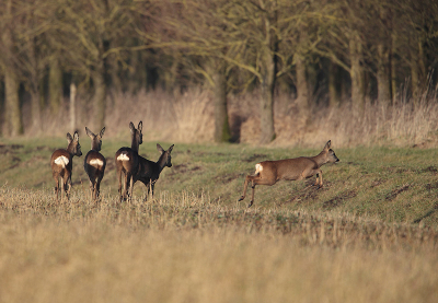 9 aewf9e rf9aer 9aer 9aer9 erg9e9ge9 g0erg erghirhgi erhergheorege 9erg9er   er   r8guer9 e  r