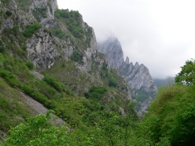 <i class='fa fa-user'></i> Henk van den Born | Picos de Europa  <i class='fa fa-eye'> 311</i>   <i class='fa fa-comment-o'> 0</i>