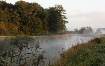 Had nog maar kort mijn EOS en wilde graag wat foto's maken in de vroege ochtend, als het licht zacht is.