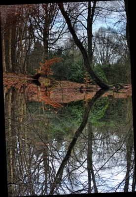 Heb de foto rechtgezet in photoshop CS2 maar niet gecropt.
De foto stond 2.41 graden scheef.