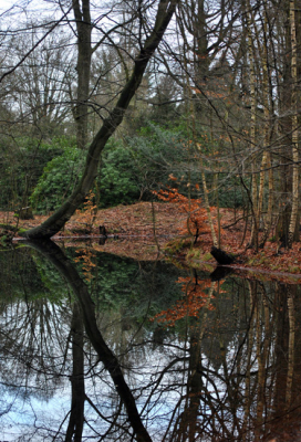 Het was vandaag hele dag best bewolkt, maar toen ik langs het water kwam zag ik een mooie kans voor om deze foto te maken.