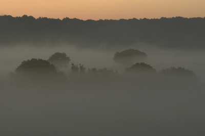Op zondagochtend 7.00 uur werd ik pas echt wakker na het zien van een rode gloed boven een mistig landschap. Ondanks de mist was het een aangenaam moment om vroeg uit de veren te gaan en er op uit te trekken.