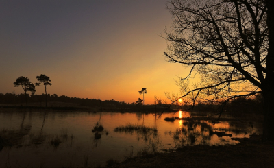 Gisteren tijdens een wandeling in het vennengebied genoten van een prachtige zonsondergang. Gelukkig had ik mn camera bij me en deze foto is het resultaat. Mijn eerste upload hier op nederpix.