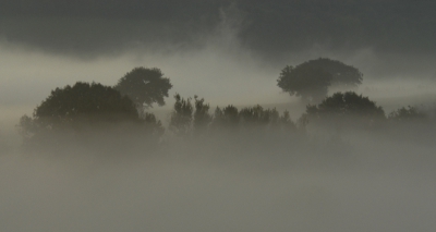 Bij mist blijft het vaak moeilijk te fotograferen, tot het moment komt dat de zon een beetje gaat doorbreken.