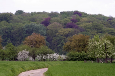 <i class='fa fa-user'></i> Marijke | Lente in Zuid-Limburg  <i class='fa fa-eye'> 306</i>  <i class='fa fa-thumbs-up'> 31</i>   <i class='fa fa-comment-o'> 24</i>