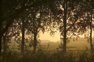 Nog maar net m'n camera, dus vroeg op en oefenen....vind de belofte van een mooie dag aansprekend in deze foto. Hou van de warme gloed. Een tweede poging voor deze foto...